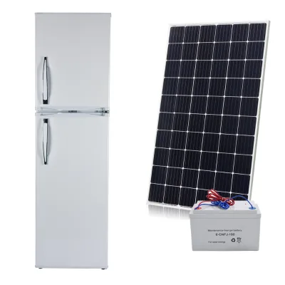 Commercial 295L Large Capacity AC DC 12V/24V Refrigerator Portable Home Appliance Fridge Solar Compact Cake Fridge for Household