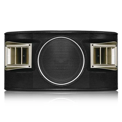 K-580 10-Inch Karaoke & Party Room Conference Speaker for Meeting Rooms Audio Sound Equipment