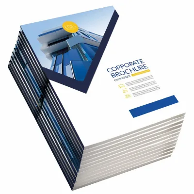Tri Fold Brochurebrochure Paperbrochure Holder