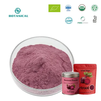 Wholesale Customization Bulk Powder Beet Root Extract Powder Vegan Superfood Beetroot Supplements