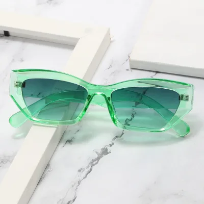 High Quality New Vintage Cat Eye Sunglasses Fashion Polygonal PC Square Sunglasses