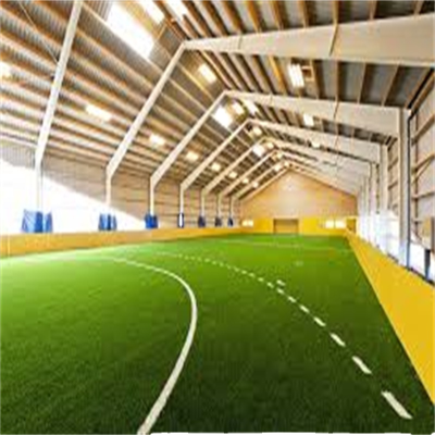 Large Span Modern Design Steel Sport Hall