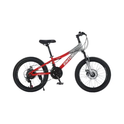 Explosive Models China Wholesale Customized Color Grey Children 20 Inch Racing MTB High Carbon Steel Bicycle Fork Suspension