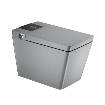 High-end Floor Mounted Gray Square Shape Smart Toilet USA Style