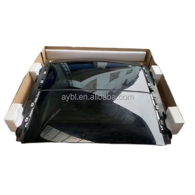 Car Panoramic Auto Sunroof Universal Sunroof