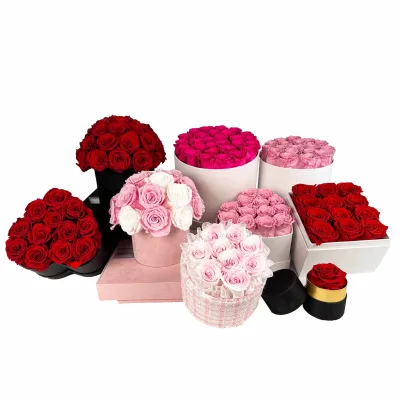 Valentine's Day Gift 2024 Wholesale Real Natural Everlasting Immortal Eternal Preserved Rose in Box for Women