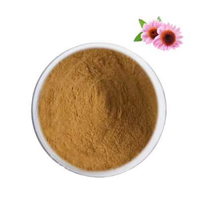 Wholesale Price High Quality 10:1 Echinacea Extract Echinacea Purpurea Extract Powder