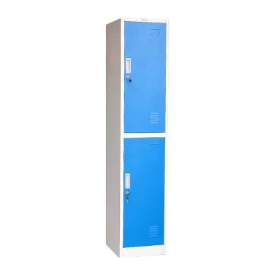 Modern Iron 2-Door Adjustable Multi-Functional Locker Durable Eco-Friendly Knock-down Structure Commercial School Workshop