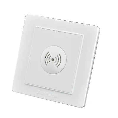 SHARE Voice Control Delay Wall Switch with 45 Seconds Delay 250V 86x86mm