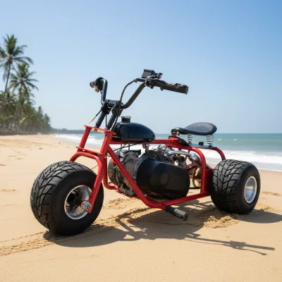 Factory Direct CE Certified 212CC Four-Stroke Gasoline Power 5 Inch Anti Slip Small Tire Kids Amusement Three Wheel Go Kart