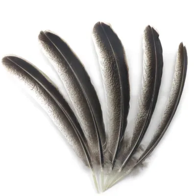 Chinese Top Manufacturer Wholesale Natural Turkey Feather Pheasant Feathers
