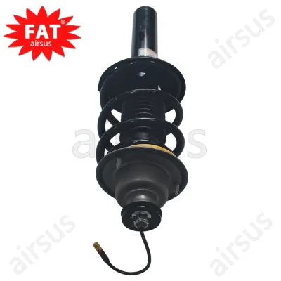 Shock Absorber Assembly with PASM for Porsche781 982 Rear Left /Right OEM 982513031B 982513031E 982513031C