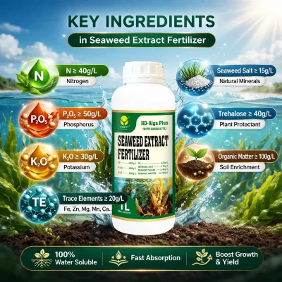 Root Booster Fertilizer for Agriculture Improve Root Strength and Plant Survival