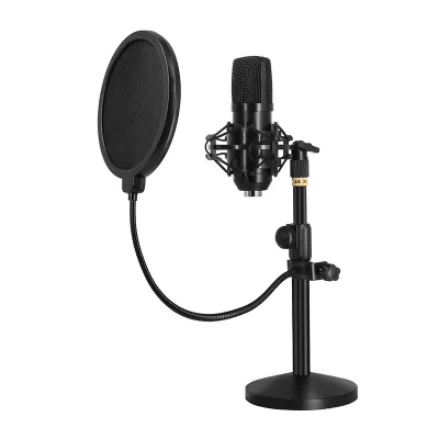 Hot Sell Desktop Microphone Studio Karaoke Microphone Studio Livestream Mic