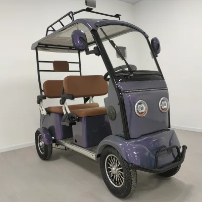 High Quality China Factory Directly 4-Passenger 4-Wheel Electric Scooter for Adults and Elderly