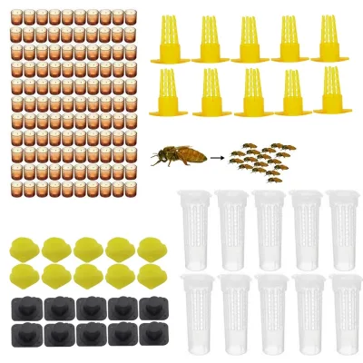 Complete Bee Queen king Rearing Kit System Cages Bees Tools Set Supplier Tool Equipment Base Celular Cells Cell Beekeeping Sale