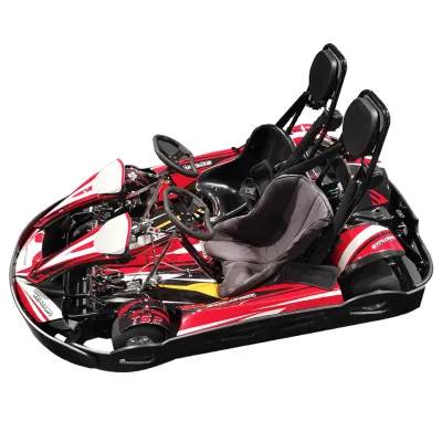 Hot Selling DOUBLE SEAT Electric Go Karts Off Road Racing Go Karts for Adult in Shopping Mall
