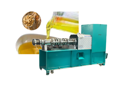 High Quality Cold Press Oil Machine Peanut Electric Oil Press Machine Oil Cold Pressing Machine