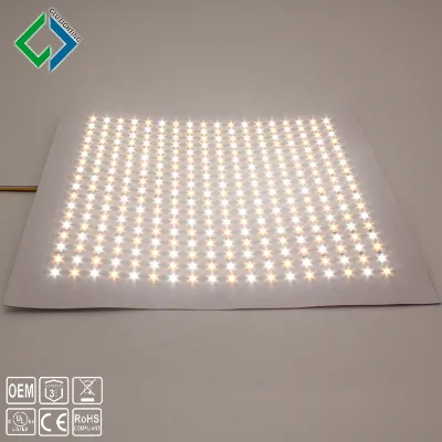 High Quality China Factory OEM/ODM 12V/24V High R Values>90 Ra97 Flexible Led Panel