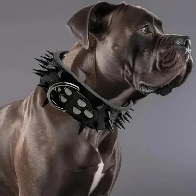 Pet Dog Collar with Spikes Rivets Anti-Bite Decorative PU for Medium/Large Dogs Zhejiang Manufacturer