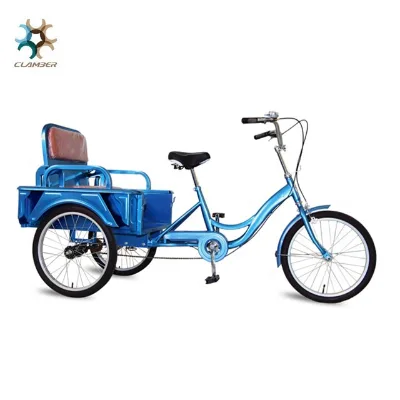 Nanyang GW7024 Classical Single Speed 20" Trike / Tricycle with Rear Seat for Children Women Steel Aluminum Alloy Street 3 Speed