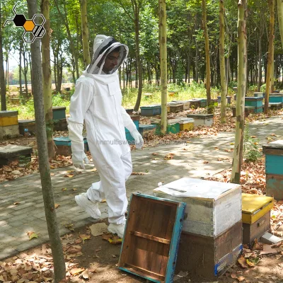Beekeeping-Clothes Big Sizes Bee Suit With Gloves