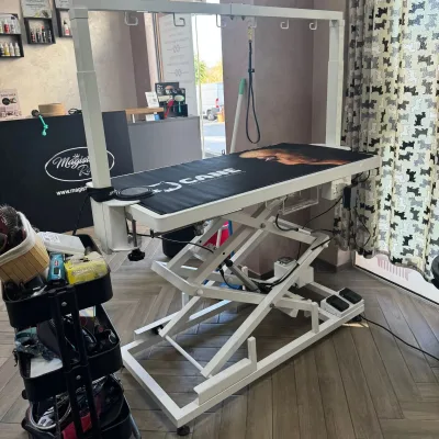 Pet Grooming Table Motorized Adjustable Height Dog Grooming Station Professional Salon Pet Table