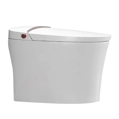 Modern White Mintelligent Smart Electric One Piece Bidet Toilet with Remote Control S-trap Drainage Ceramic 3-Year Warranty