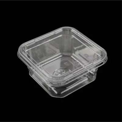 High Quality Disposable Clamshell Packaging RPET Plastic Food Container Clear Fruit Container