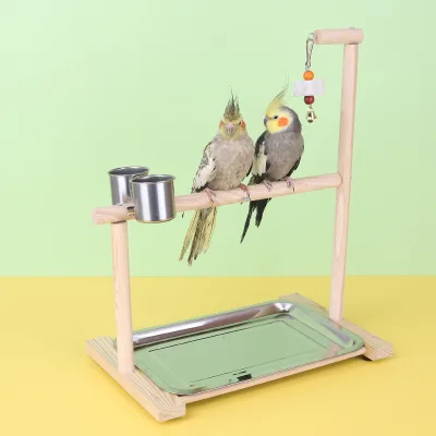 Parrot Training Station Shelf Parrot Climbing Ladder Swing Pet Bird Toy