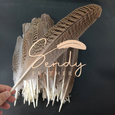 Peacock Feather 30-35cm Peacock Mottled wings Feather for Carnival Costume Arts and Crafts Garment Accessory Festival Dance
