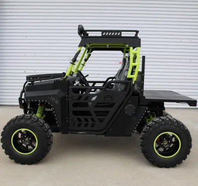 Adult 4x4 UTV with Dump Bed for Farming and Hunting