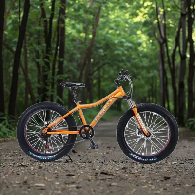 24/26 Inch Steel Fork Big Fat Tire Mountain Bike with Hollow Wheel 4.0 Tire Double Disc Brakes Front Suspension