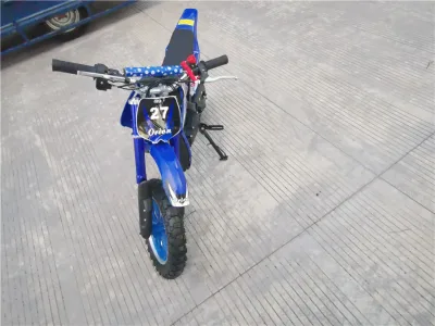 High Quality and Factory Price Anwa DW4901 Super 49cc 2-Stroke Chinese Racing Motorcycle with Front Suspension