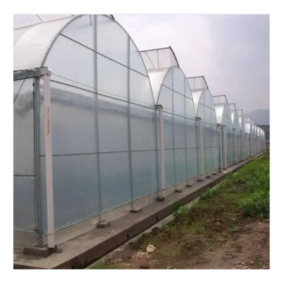 Green House Metal Frame Green House Tent Green House Plastic Greenhouse