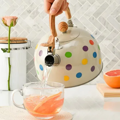 Hot Sale 3L Stainless Steel Whistle Kettle Water Kettle Tea with Color Pattern Spray Points Design
