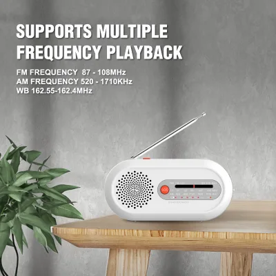 Portable Mini Disaster Radio with Weather Broadcast AM/FM Hand-crank Power Torch SOS 1W Output 1200mAh Battery (D10)