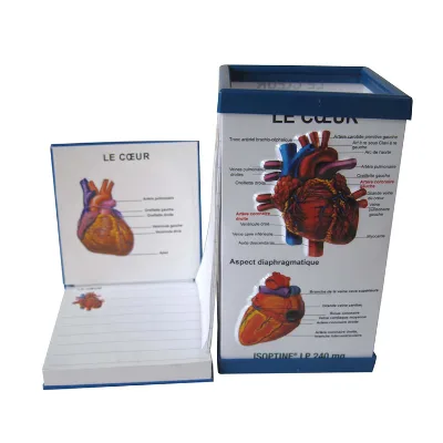 Medical Gifts Medical Pvc Embossed Pen Holder for Doctors