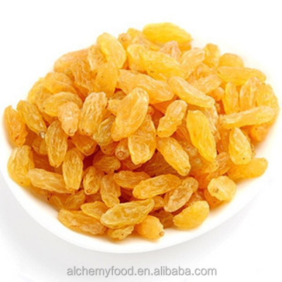 Exporters of Golden Raisin