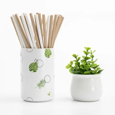 Customizable Kraft Paper Tube Packaging SPI Shaker Cardboard Cylinder Plastic Food Grade Paper Tube Boxes