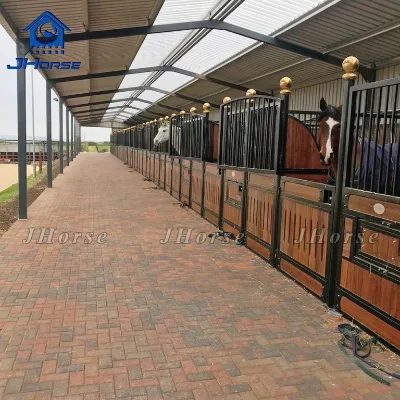 Factory Supply Fancy Horse Swing Front Door Stainless Steel Horse Stable Stalls in Back Coating