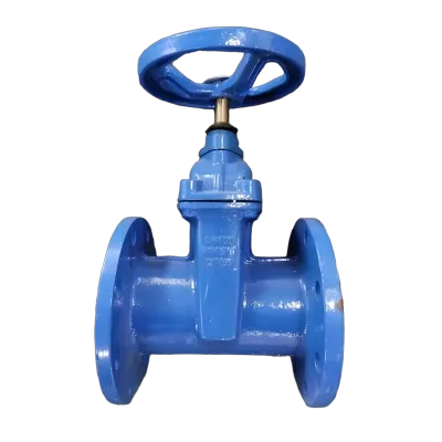 ODM OEM Z45 Model DN50 Manual Cast Iron Flange Gate Valve for Oil & Gas and High-quality Warm Water Applications