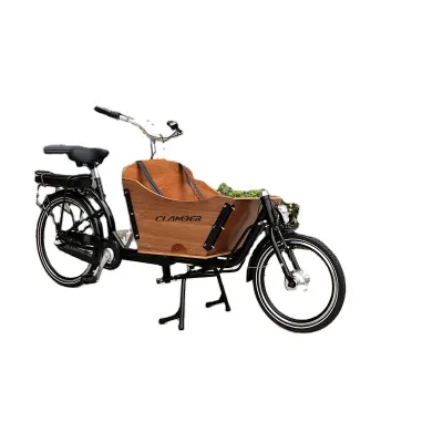 European Stock Pets Bike Family Cargo Three-Wheeler with 36v Lithium Battery Aluminum Alloy Frame Brushless Motor