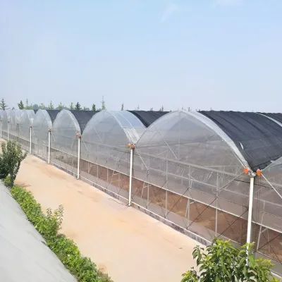 High Quality Custom Greenhouse Poly Tunnel Tomato Greenhouse for Plant Growing