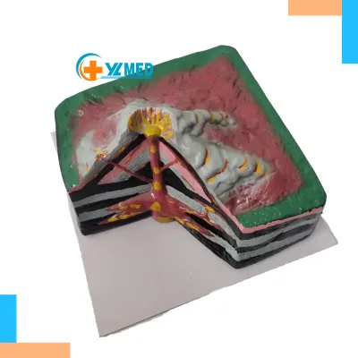 PVC Volcano Large Layers for Geology Classroom Geography Studies CE/ISO