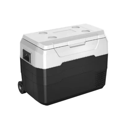 Best Quality Mini Refrigerator DC 12v 24v 40L Car Freezer Fridges Portable With Battery