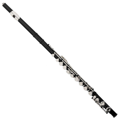 SEASOUND C Black Flute for Students JYFL201BK OEM Cheap 16 Holes Leather Case Aluminum Closed Single Note Flute Wood Wind CN;JIA