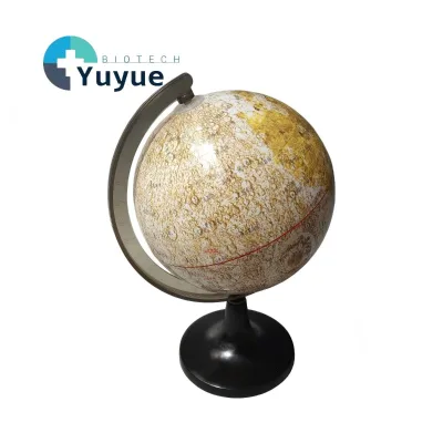 Lunar Globe Model, Detailed Moon Surface for Geography & Astronomy Teaching