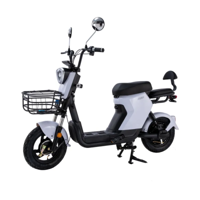 Electric Scooters 48V  Battery Removable Riding E Bike  Mini Folding E Bicycle