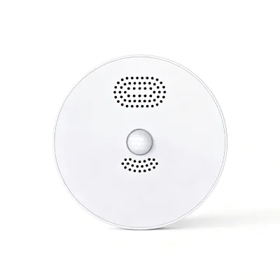 Smart Voice Terminal With Motion Sensor Custom Voice Recording USB Rechargeable Device